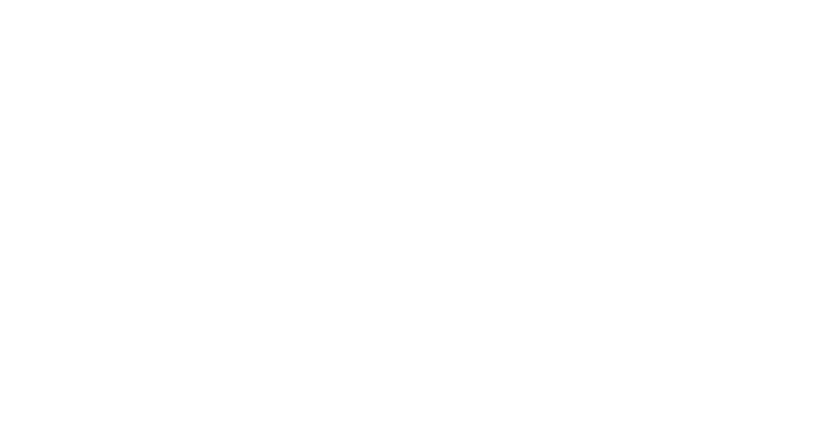 Группа компаний Русский пир